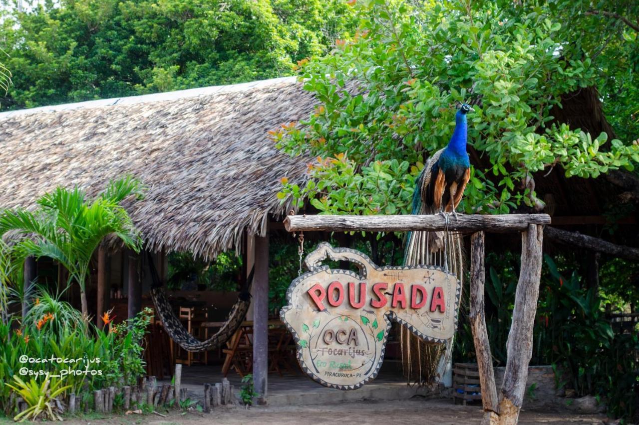 Oca Tocarijus Eco Resort Piracuruca エクステリア 写真