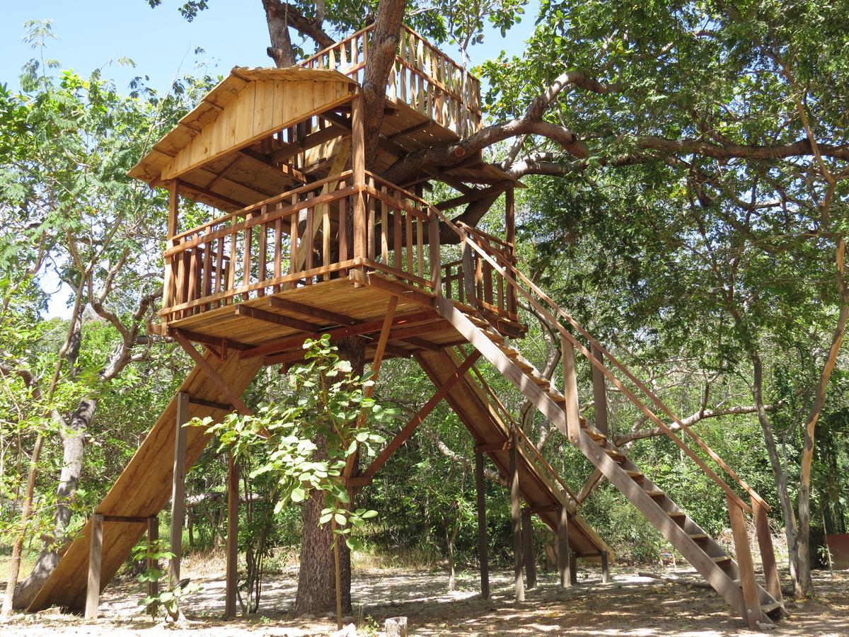 Oca Tocarijus Eco Resort Piracuruca エクステリア 写真